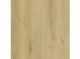 ROXER SKIR. BOARD/OAK NATURAL PALE 2400x80